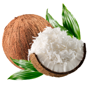 low-fat-desiccated-coconut-img